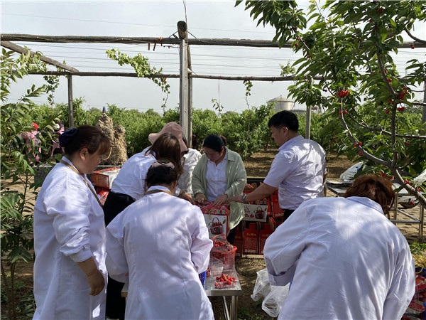 今世康公司樱桃采摘自助烧烤团建活动8.jpg