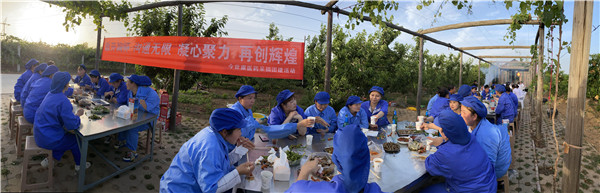 今世康公司樱桃采摘自助烧烤团建活动9.jpg