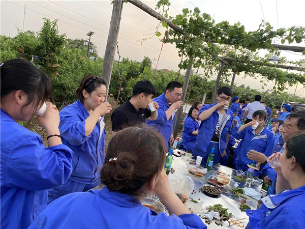 今世康公司樱桃采摘自助烧烤团建活动13.jpg